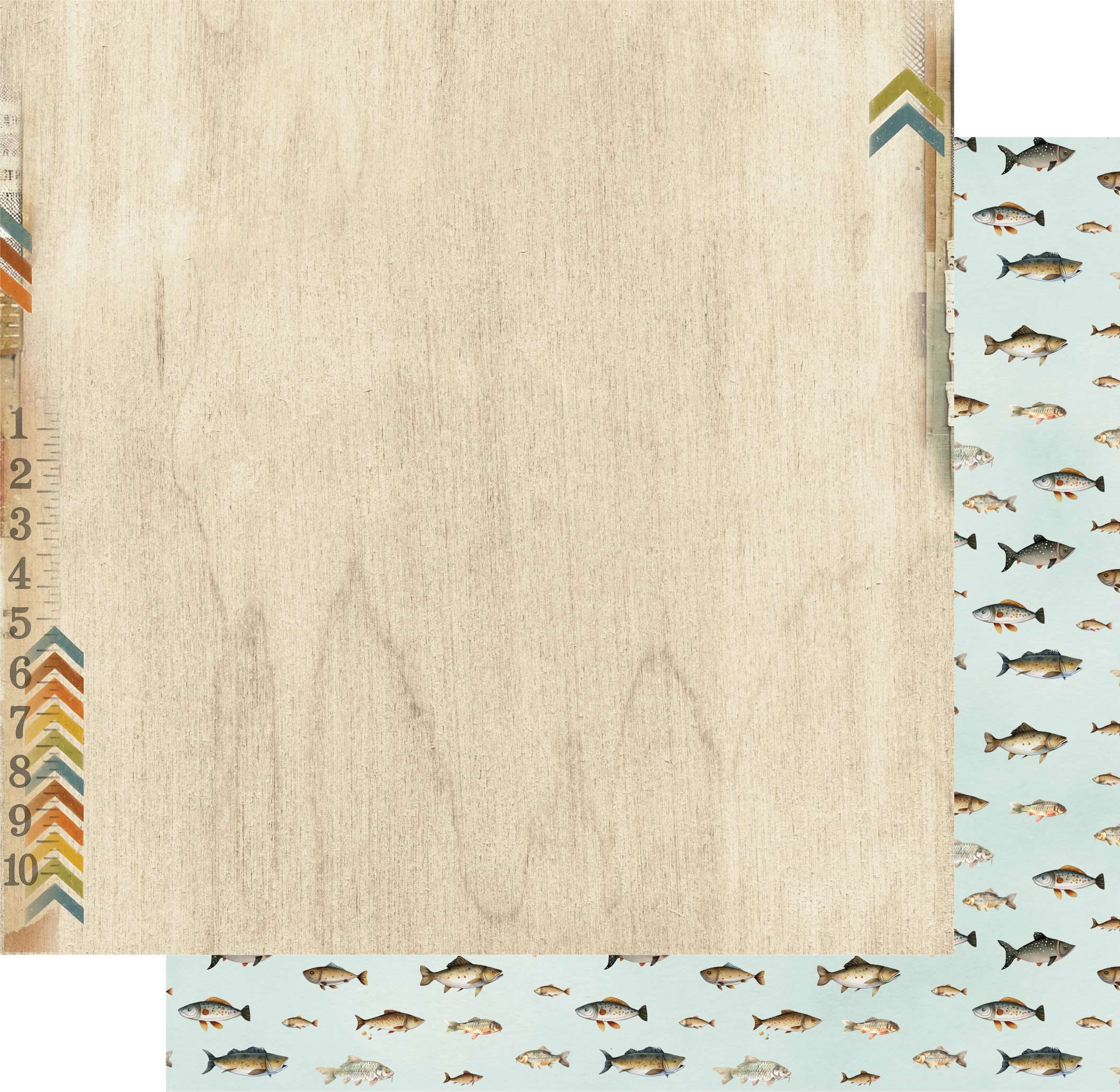 Uniquely Creative Field Notes 12 x 12 Collection Pack