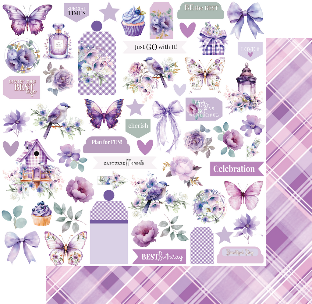 Ultraviolet Delight 12 x 12 Collection Pack