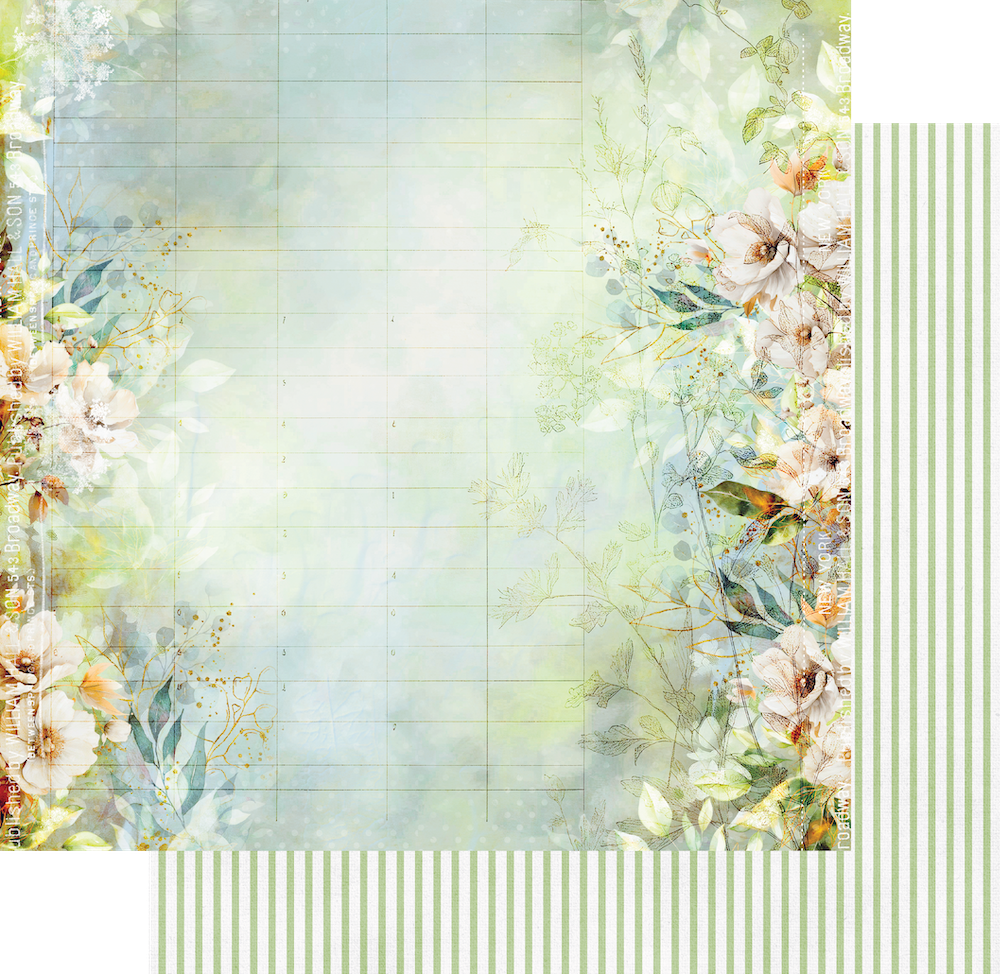 Delighted Curiosities - 12 x 12 Collection Pack