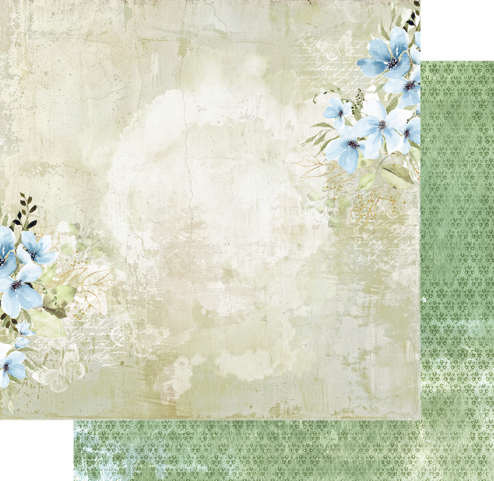 Delighted Curiosities - 12 x 12 Collection Pack