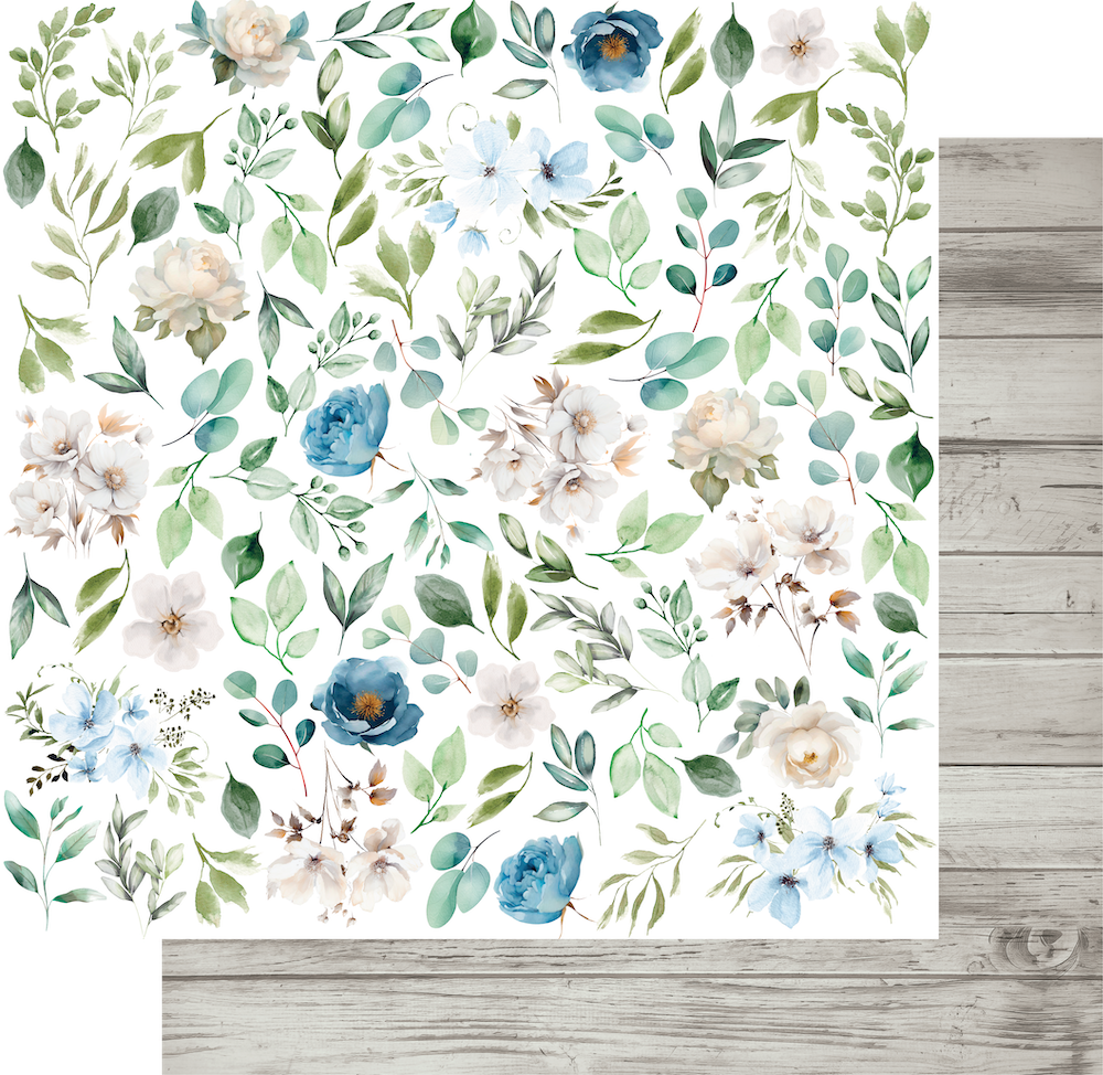 Delighted Curiosities - 12 x 12 Collection Pack