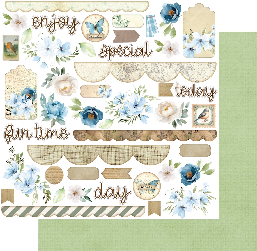 Delighted Curiosities - 12 x 12 Collection Pack