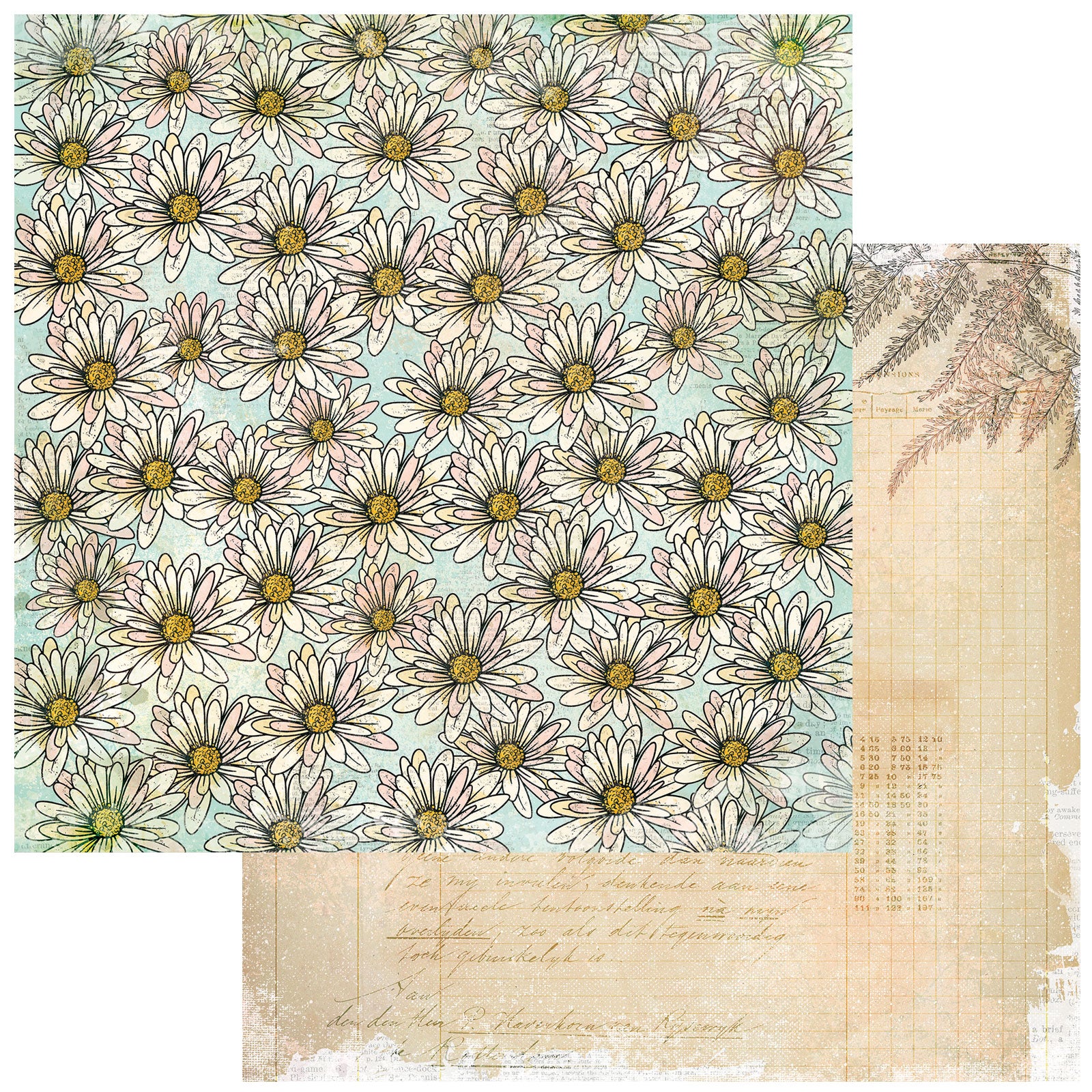 49 And Market Curiosities In Willow Grove Starters Collection Pack 12"X12"