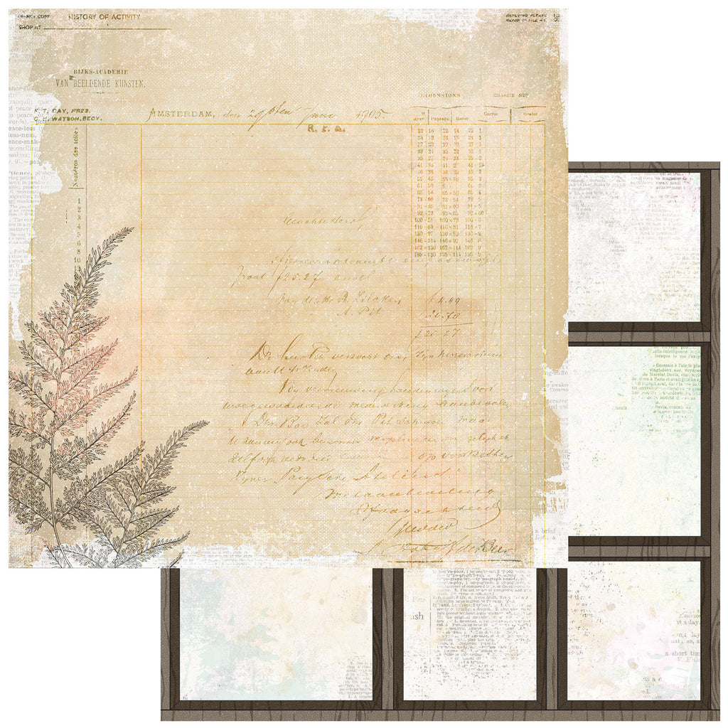 49 And Market Curiosities In Willow Grove Starters Collection Pack 12"X12"