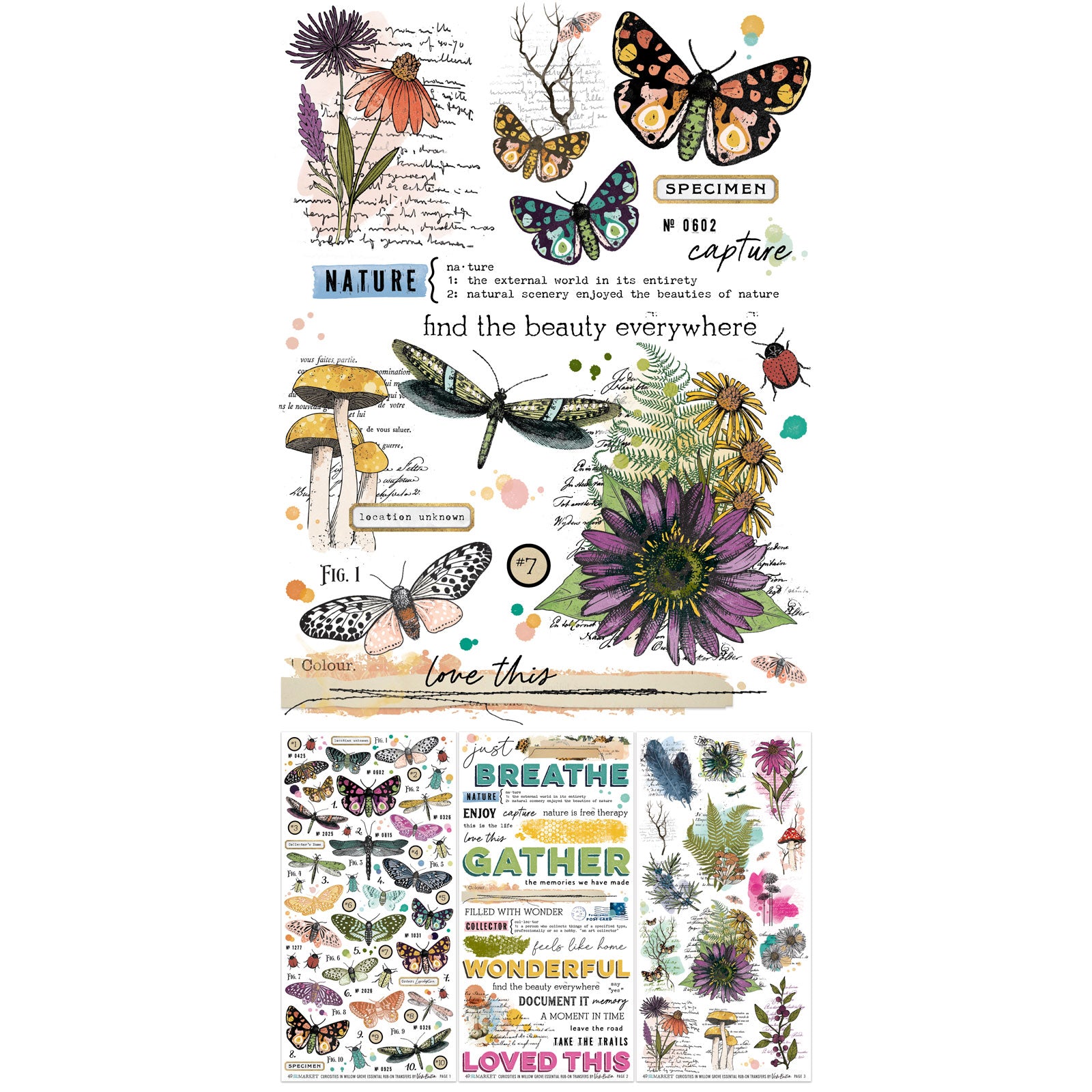 49 And Market Curiosities In Willow Grove Rub-On Transfer Set-Essential