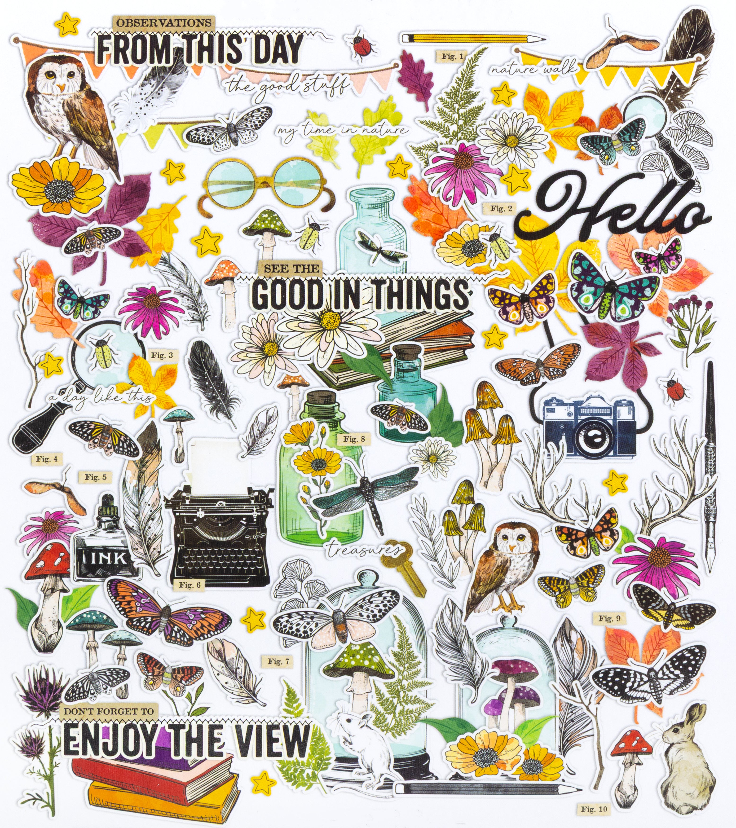 49 And Market Curiosities In Willow Grove Ephemera Set-Icons And Titles