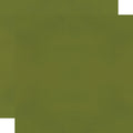 Color Vibe Cardstock - Avocado