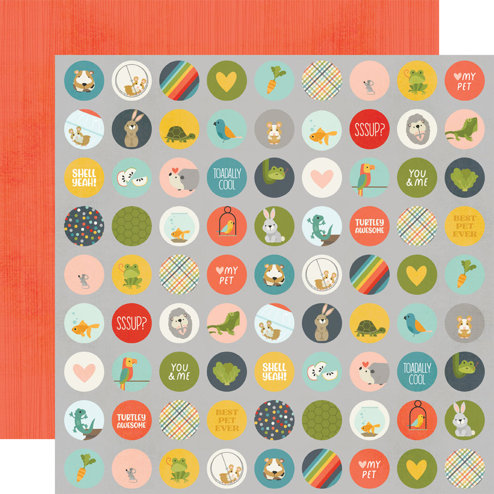 Pet Shoppe Collection Kit