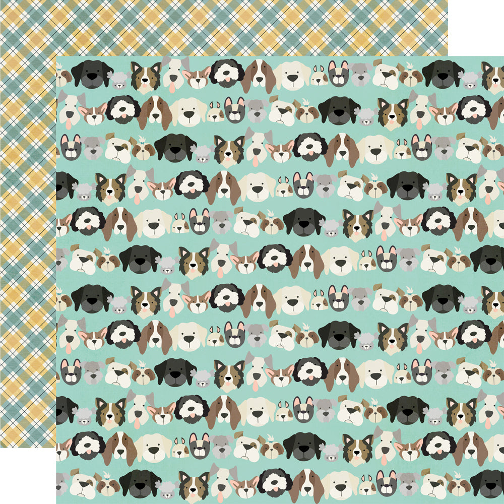 Pet Shoppe Dog Collection Kit