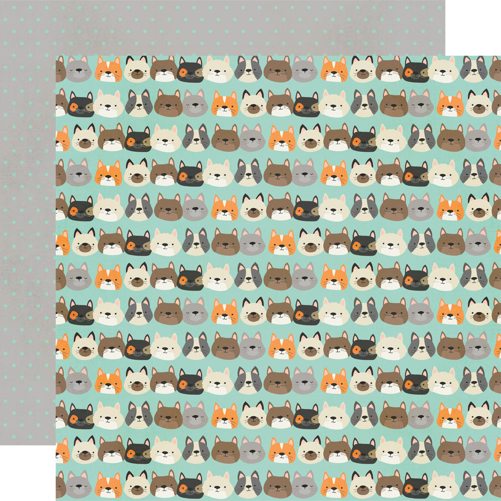 Pet Shoppe Cat Collection Kit