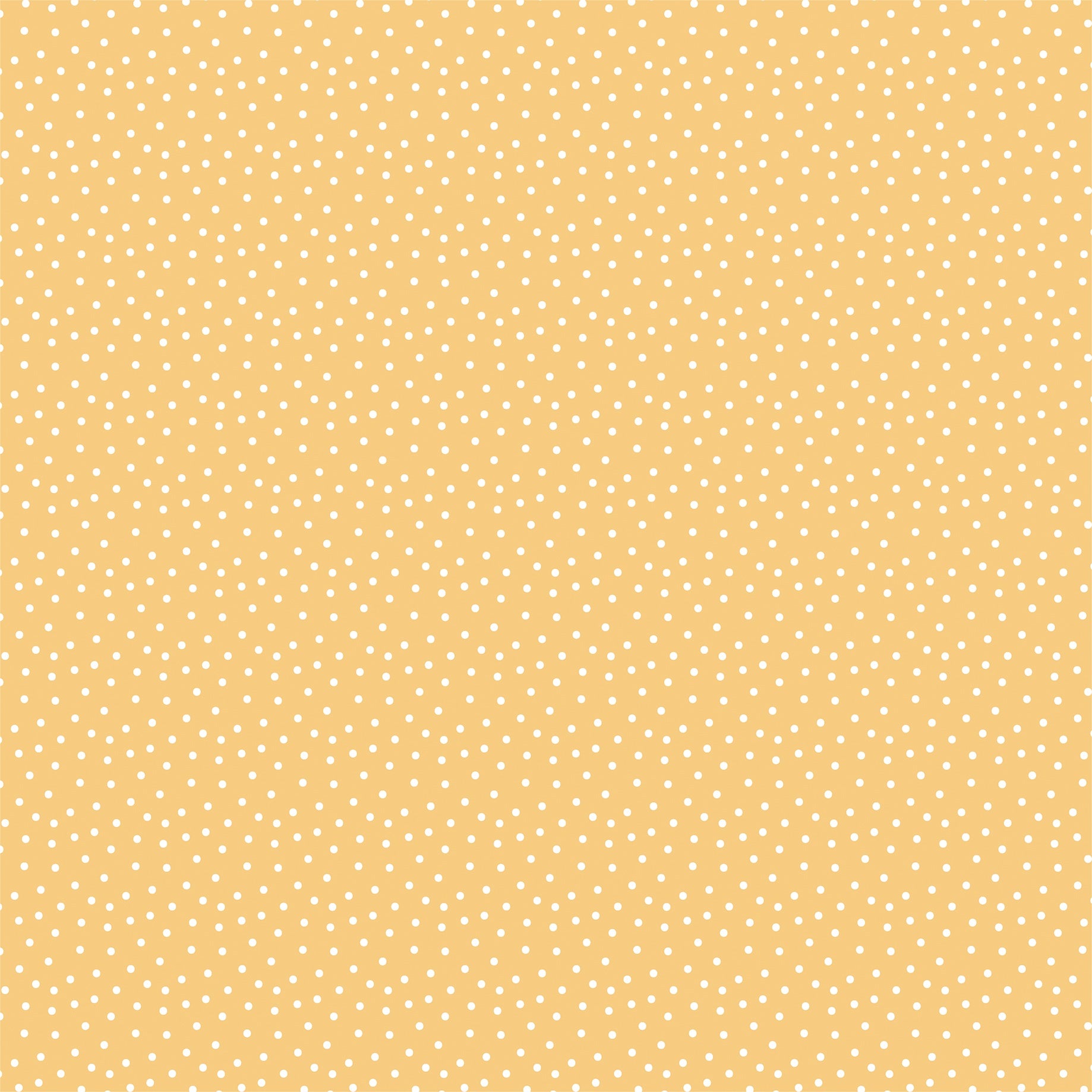 Echo Park Our Story Matters -Telling Our Story