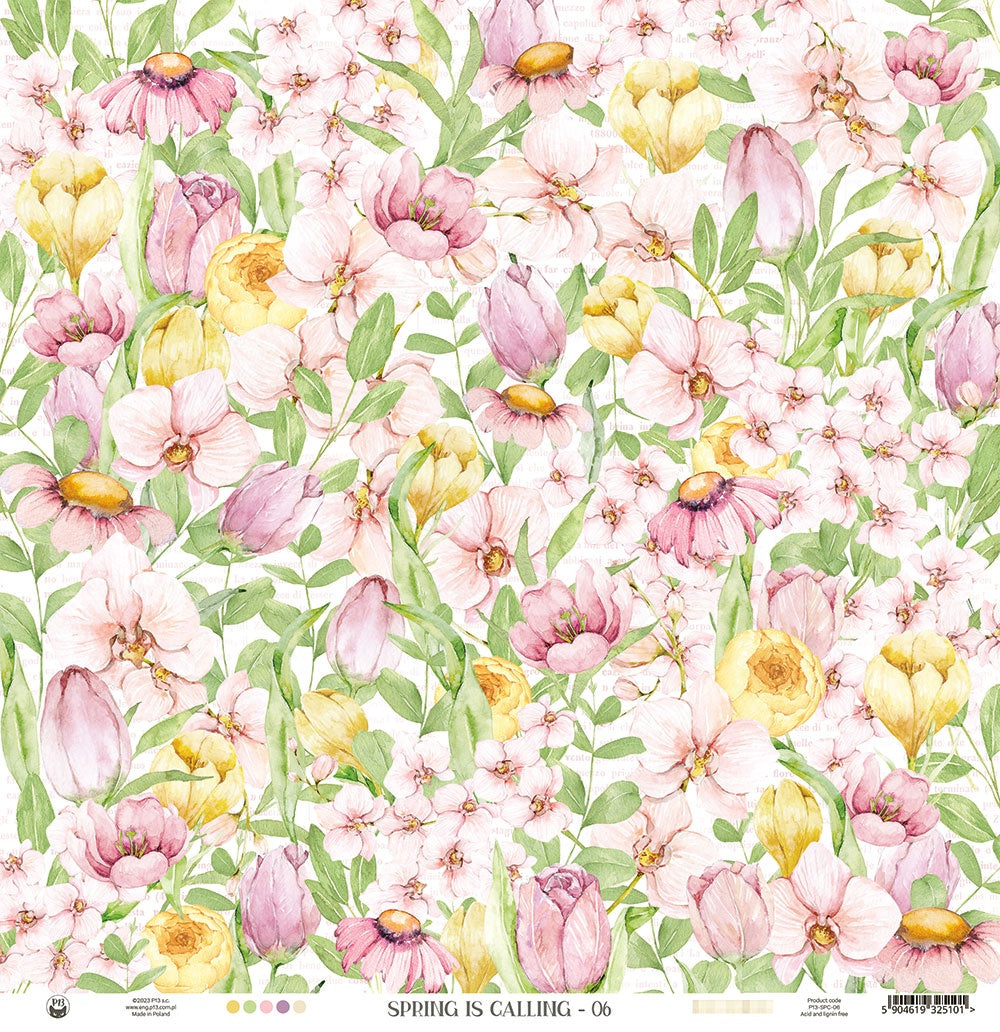 P13 Spring Is Calling Double-Sided Cardstock -06