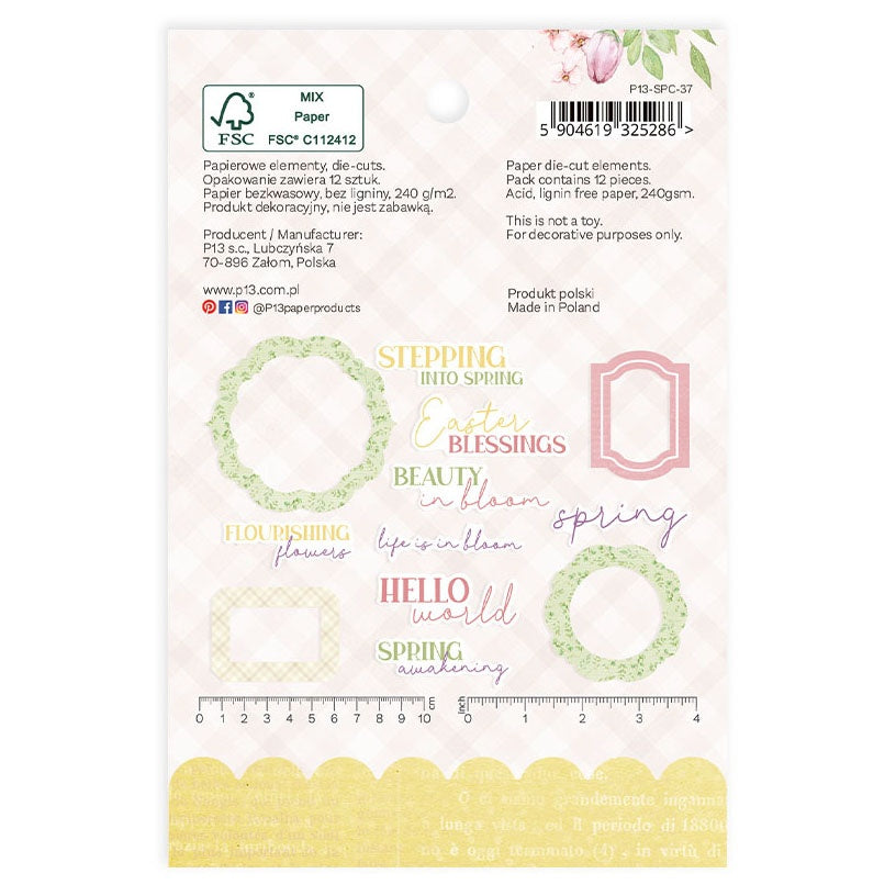 P13 Spring Is Calling Cardstock Die-Cuts -Frames & Words